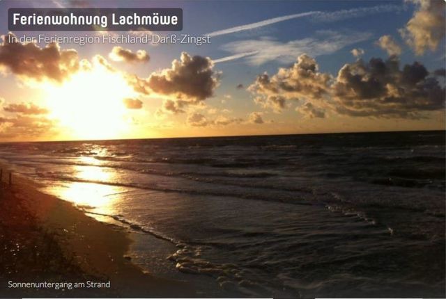 Ferienwohnung in Dierhagen - Lachm&ouml;we App. 35 - Bild 20