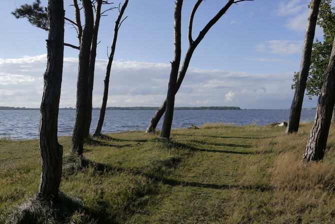 Ferienwohnung in Rerik - Ferienwohnung/Appartement Mantelm&ouml;we (Rerik) - Umgebung am Salzhaff