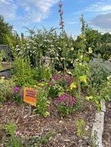 Ferienwohnung in Steinbeck - MP 8 Steuerbord - Bild 22
