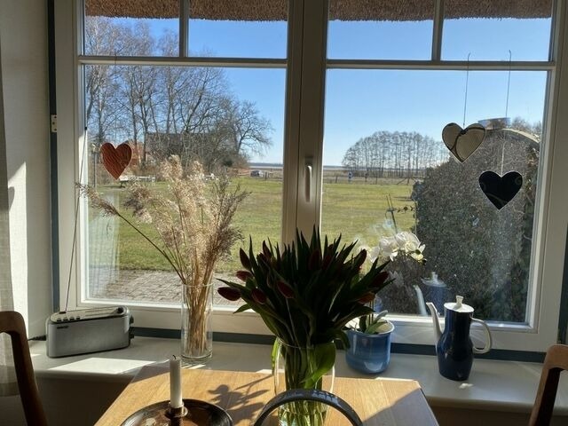 Ferienwohnung in Born a. Dar&szlig; - Ferienwohnung Nr. 01 (EG) - Bild 7