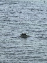 Ferienwohnung in Steinbeck - MP 3 K&uuml;stenkind - Bild 17