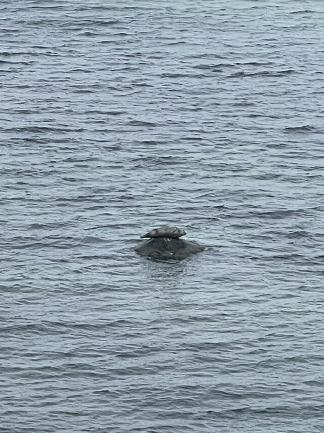 Ferienwohnung in Steinbeck - MP 2 Leuchtturm - Bild 16