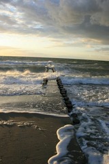 Ferienwohnung in Born a. Dar&szlig; - Ferienwohnung Nr. 06 (EG) - Bild 19