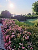 Ferienwohnung in Breege - Sonnenhus 1 - Breege/R&uuml;gen - Bild 21