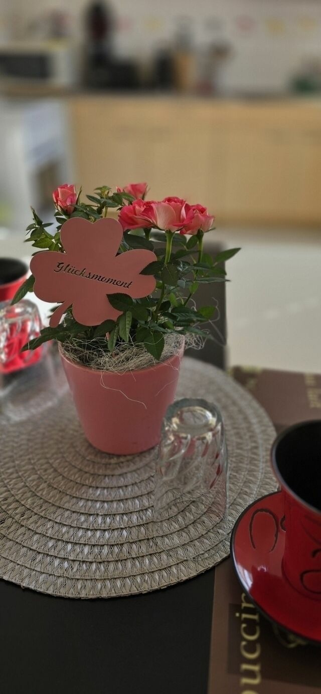 Bungalow in Zinnowitz - Ferienhaus Wiese und Meer - Bild 23