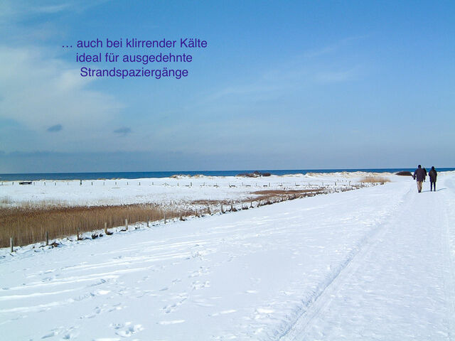 Ferienhaus in Wendtorf - DHH Frische Brise - Haus Nordlichter - Bild 25