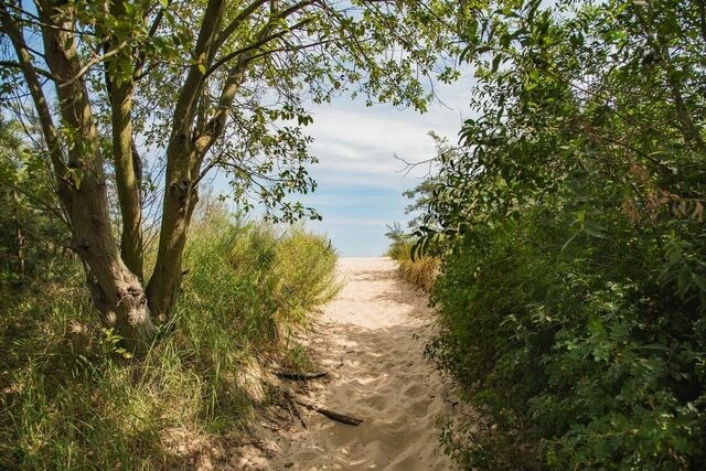Ferienhaus in &Uuml;ckeritz - Kormoran - Bild 15