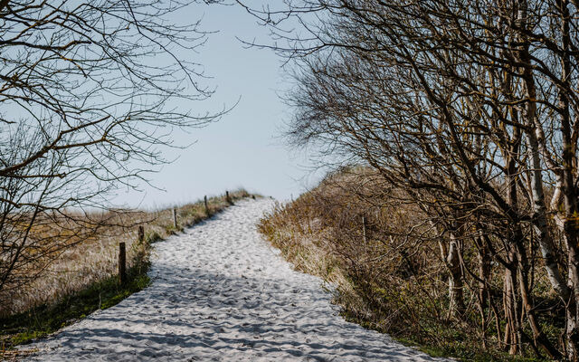 Ferienwohnung in Ahrenshoop - Seeblick 3 - Bild 8