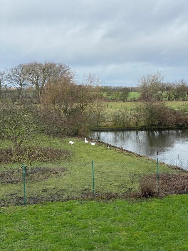 Ferienwohnung in Fehmarn OT Petersdorf - Fehmarn 17-2 - Bild 9