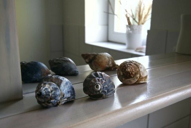 Ferienhaus in Heringsdorf - Seeadler 3 - S&uuml;ssau - Bild 10