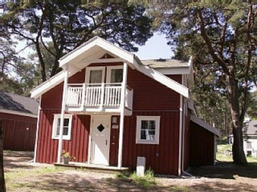 D&uuml;nenblume - Baabe