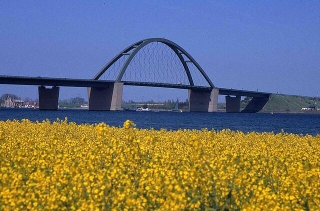 Ferienwohnung in Gro&szlig;enbrode - M&ouml;wennest 7 - Gro&szlig;enbrode - Bild 10