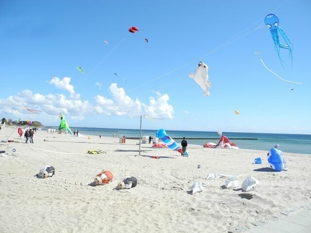 Ferienwohnung in Gro&szlig;enbrode - M&ouml;wennest 7 - Gro&szlig;enbrode - Bild 11