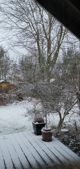 Ferienhaus in Gl&uuml;cksburg - Ferienhaus "Blaue Blume" - Bild 15