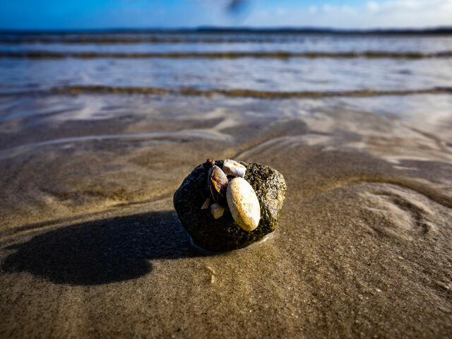 Ferienhaus in Gl&uuml;cksburg - Ferienhaus "Blaue Blume" - Bild 18