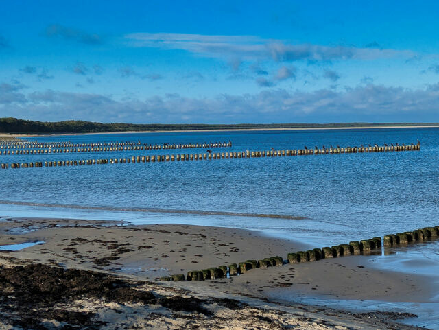 Ferienhaus in Glowe - Schwarze Perle - Glowe - Bild 18