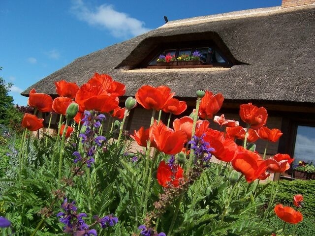 Ferienwohnung in Fuhlendorf - Boddenzauber - Bild 19