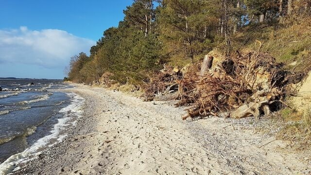 Ferienwohnung in L&uuml;tow - Zeit f&uuml;r Erholung, Ferienhaus A&C Prudlo, Usedom - Bild 20