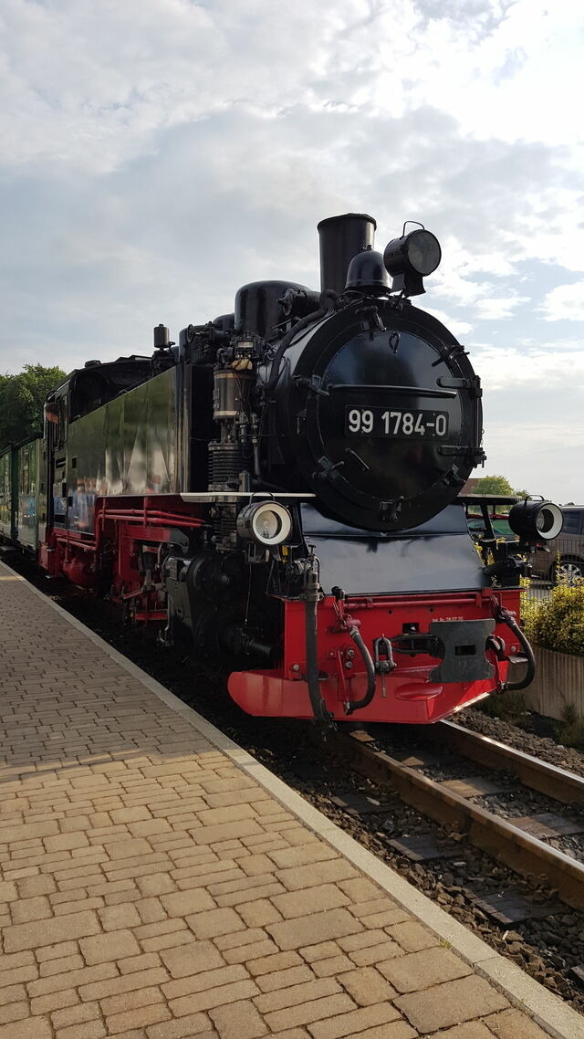 Ferienwohnung in Lauterbach - K&uuml;stenKind - Bild 24