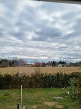 Ferienwohnung in L&uuml;tow - Ferienhaus K&ouml;hler Am Walde , Urlaub mit Hund - Bild 11