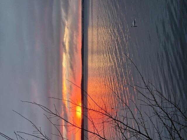 Ferienwohnung in L&uuml;tow - Ferienhaus K&ouml;hler Am Walde , Urlaub mit Hund - Bild 20