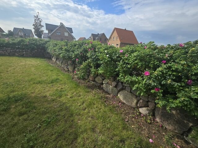Ferienhaus in Dassow - zwisch. Boltenhagen und P&ouml;tenitz Ostseeurlaub bis 6 Pers. "Alte Liebe"Haus B - Bild 17