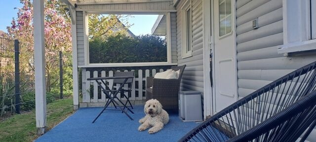 Bungalow in R&ouml;vershagen - Ferienhaus Sommer - Bild 20