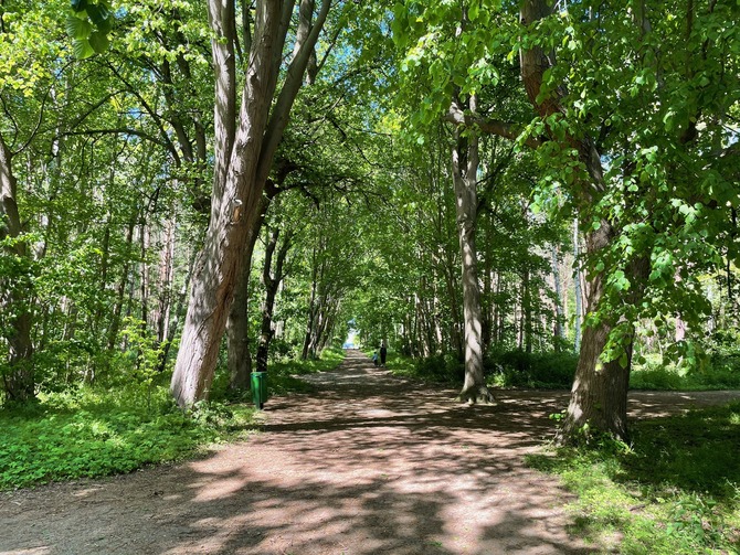 Ferienwohnung in K&uuml;hlungsborn - Ferienwohnung Weststrand - Riviera K&uuml;hlungsborn - Bild 15