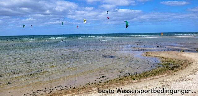 Ferienwohnung in Wendtorf - Strandl&auml;ufer - Bild 24