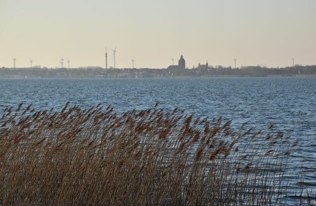 Ferienwohnung in Dierhagen - Ferienwohnung M&ouml;we - Bild 20