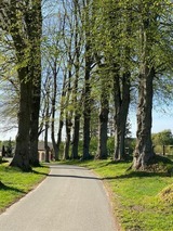 Ferienwohnung in Rieseby - Gut B&uuml;chenau - Ferienwohnung Romantika - Bild 15