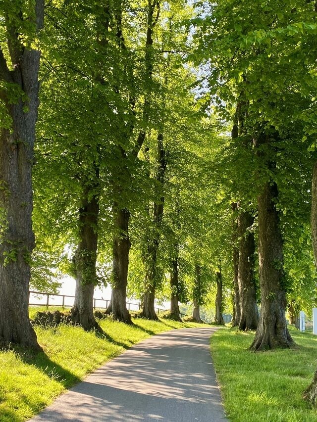 Ferienwohnung in Rieseby - Gut B&uuml;chenau - Ferienwohnung Romantika - Bild 16