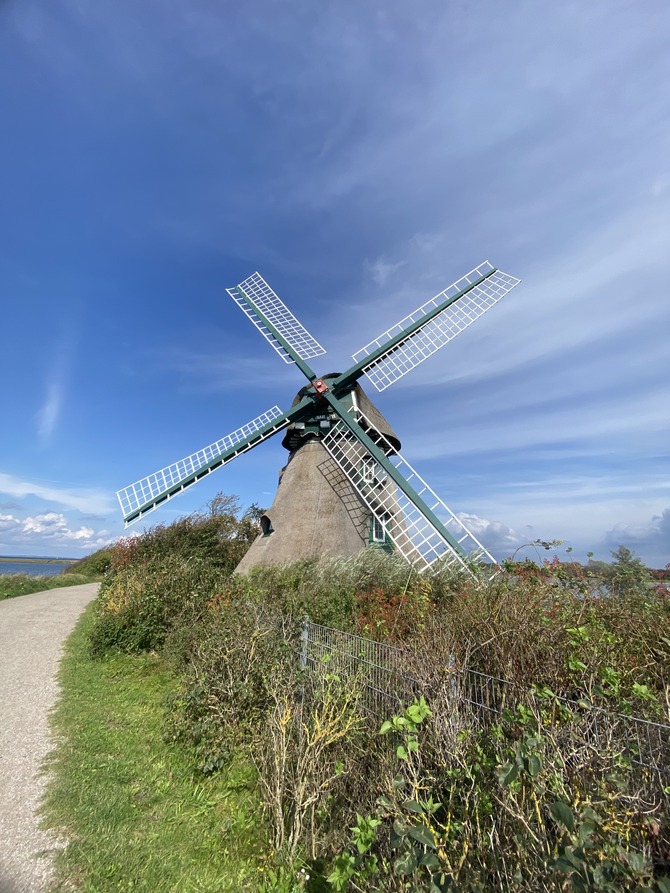 Ferienhaus in Kronsgaard - Ferienhaus Christian - M&uuml;hle Charlotte in der Birk