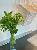 Ferienwohnung in Gelting - Appartement West - Bild 15