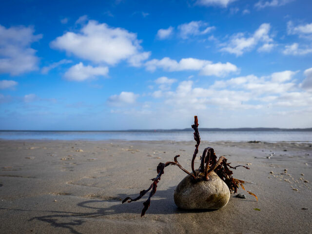 Ferienhaus in Gl&uuml;cksburg - Ferienhaus "Ostseewind 17" - Bild 21