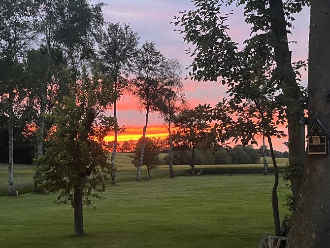 Ferienhaus in L&uuml;bbersdorf - Camo Hideaway - Bild 19
