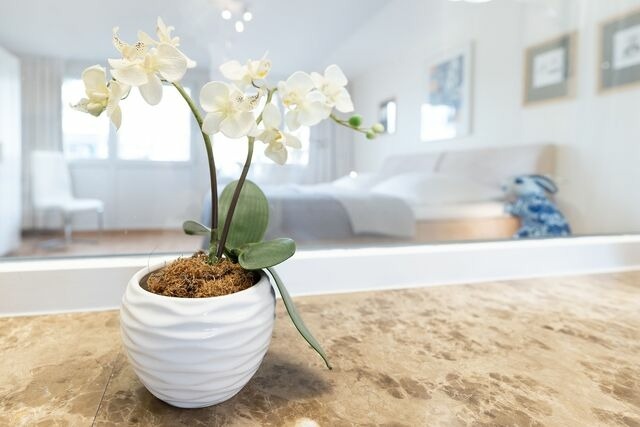 Ferienwohnung in Timmendorfer Strand - Haus Eva Mar am Meer Appartement 1 - Bild 13