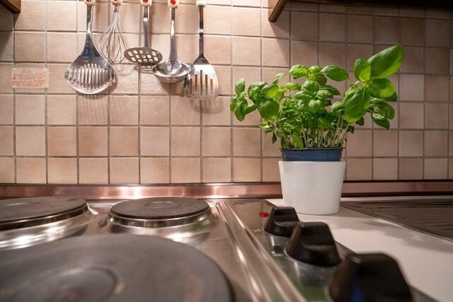 Ferienwohnung in Timmendorfer Strand - An der Waldkapelle 26 Waldblick - Bild 12