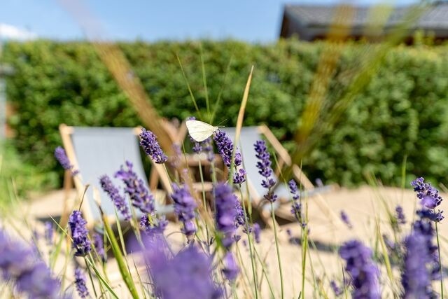 Ferienhaus in Travem&uuml;nde - Strandhus - Bild 15