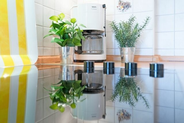 Ferienwohnung in Kellenhusen - Strandresidenz Seeglitzern - Bild 25