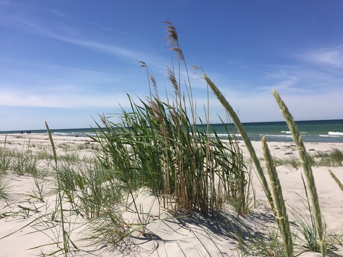 Ferienhaus in Pruchten - Ferienhus Darsskieker - Die Ostsee in unmittelbarer N&auml;he