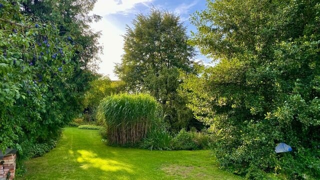 Ferienhaus in Sch&ouml;nwalde - Alte Kate - Bild 21