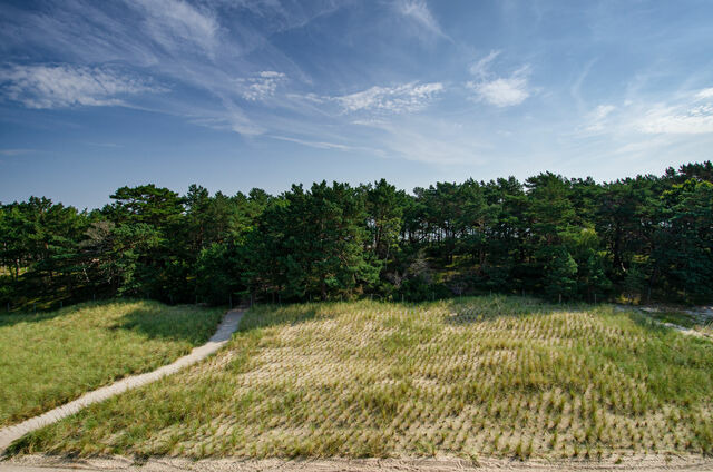 Ferienwohnung in Binz (Ostseebad) OT Prora - FeWo Ostwind in PRORA - 5.43 - Bild 23