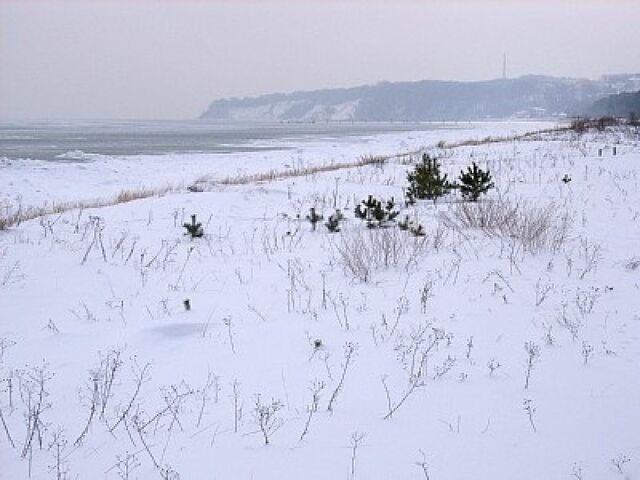Ferienhaus in Baabe - D&uuml;nenblick 73a - Baabe - Bild 19