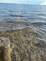 Ferienwohnung in Kellenhusen - Abendsonne 43 - Bild 23