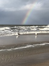 Ferienhaus in R&ouml;vershagen - Ferienhaus Piratenburg R&ouml;vershagen - Bild 25